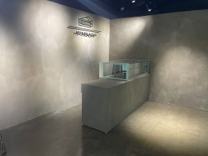 2da2b3ce-f251-4bf0-a36c-83d12240a4a7.jpg
